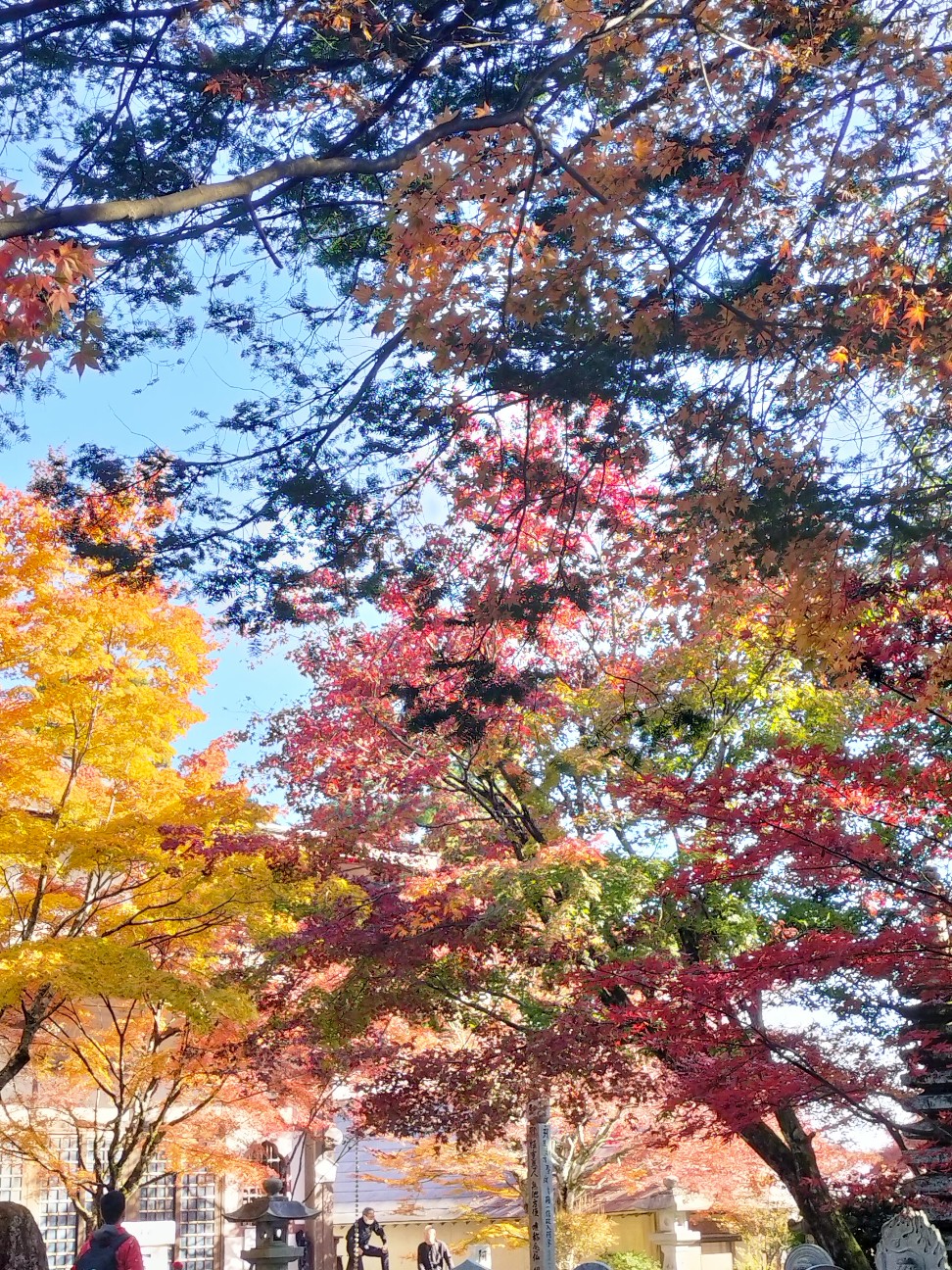 f:id:mokkun49:20251118203329j:image