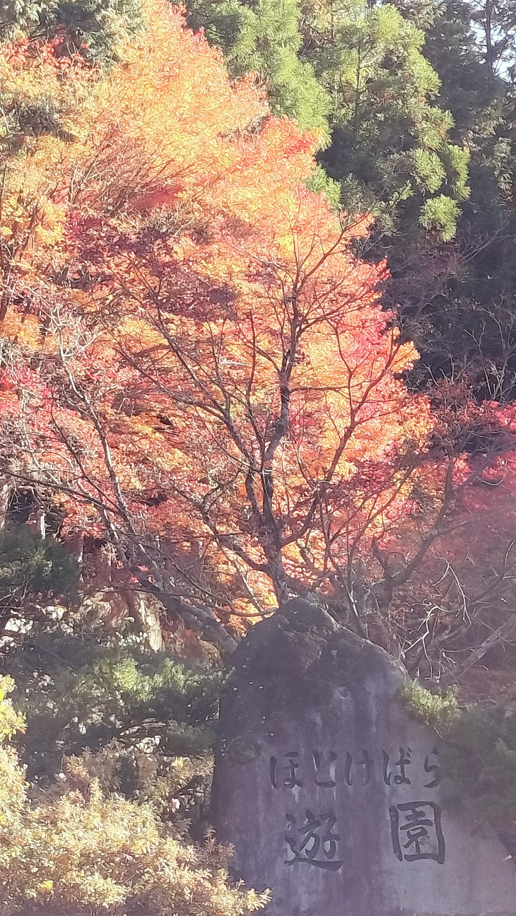 f:id:mokkun49:20251118204315j:image