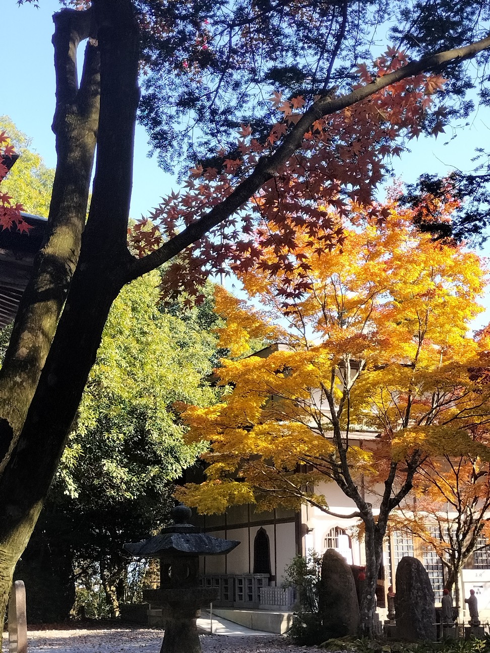 f:id:mokkun49:20251118231135j:image