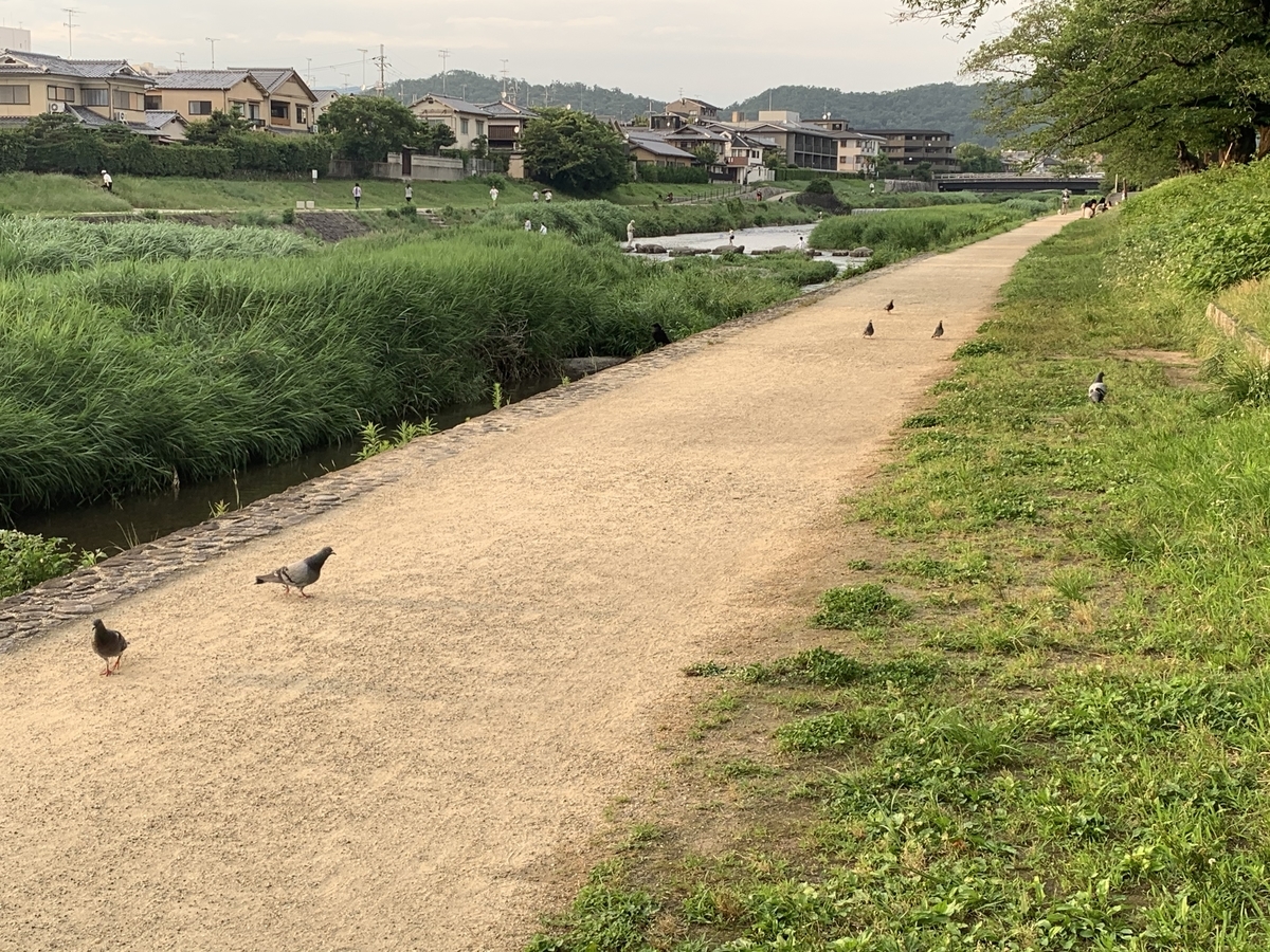 f:id:moko0908:20200627225131j:plain