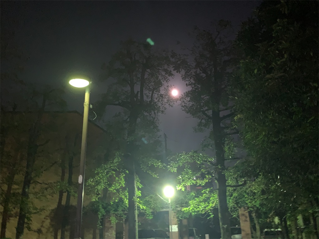 f:id:moko0908:20201003001214j:image