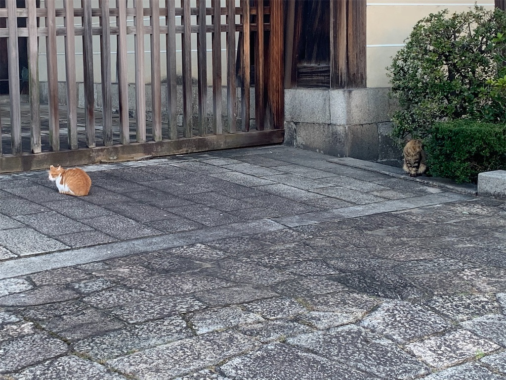 f:id:moko0908:20201016115743j:image