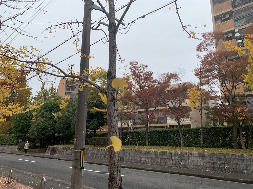 f:id:moko0908:20201109235957j:image