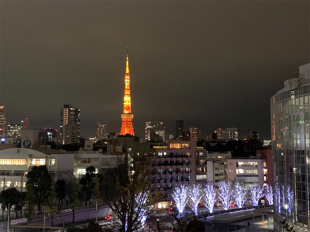 f:id:moko0908:20201125135026j:image