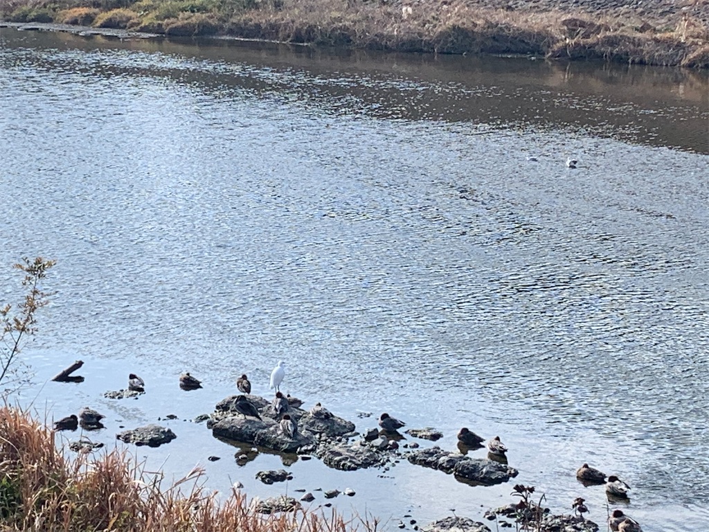f:id:moko0908:20201228153356j:image