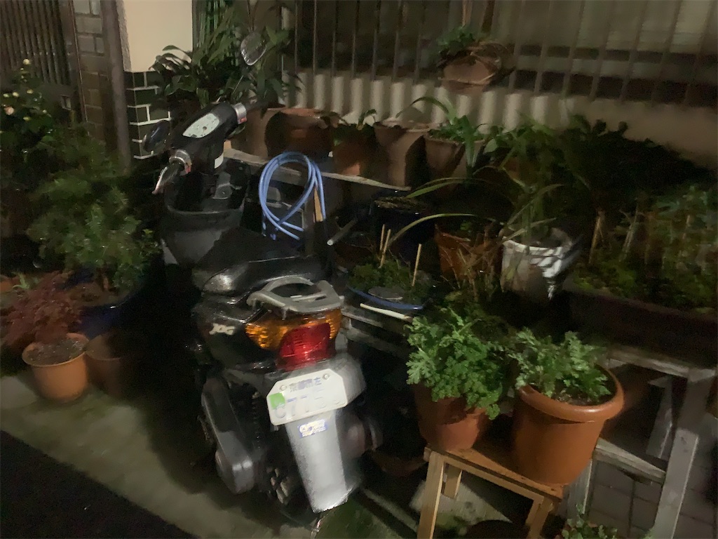 f:id:moko0908:20210127180728j:image