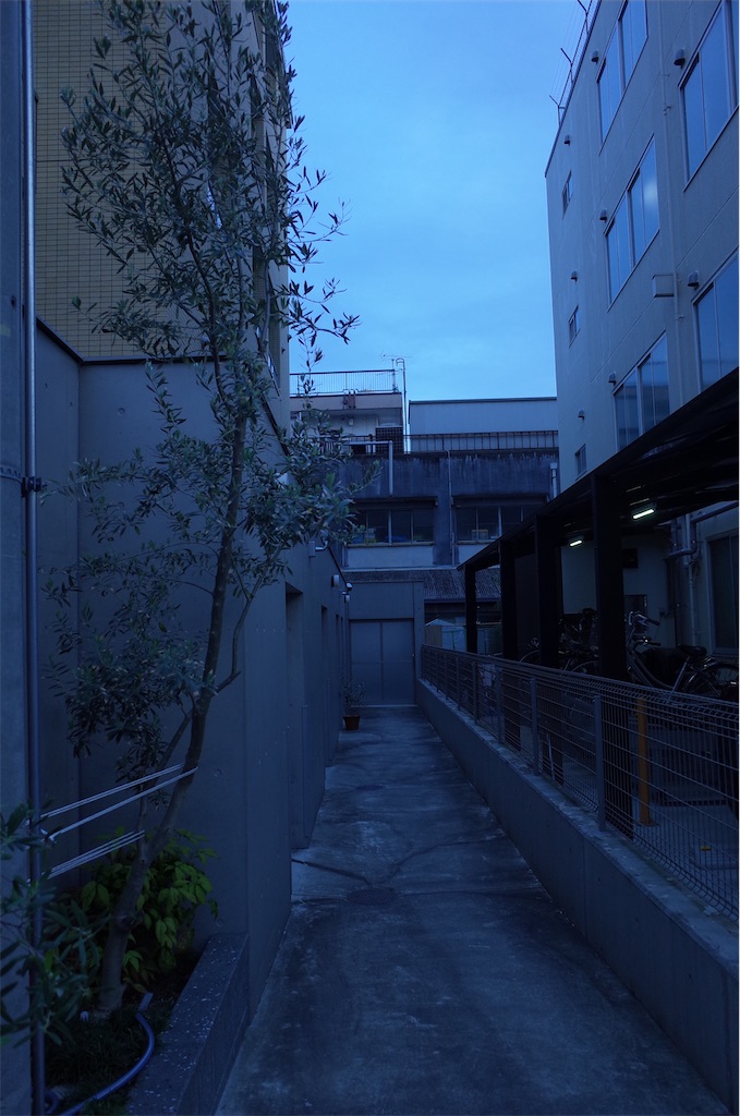 f:id:moko0908:20210417134704j:image