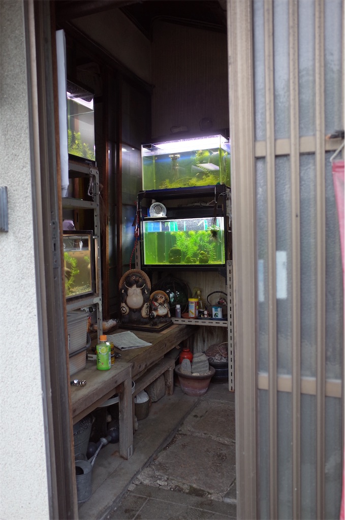 f:id:moko0908:20210502163111j:image f:id:moko0908:20210502163111j:image