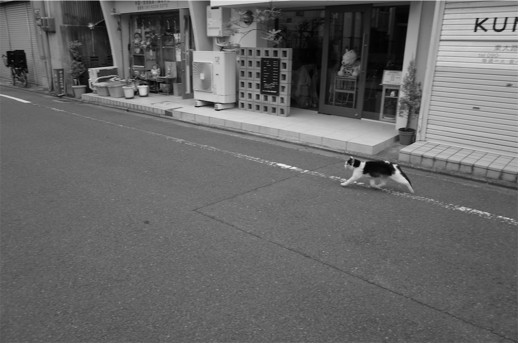 f:id:moko0908:20210503215554j:image