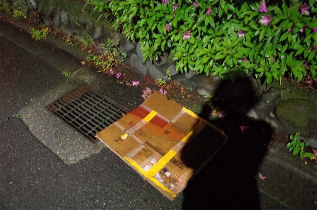f:id:moko0908:20210506141841j:image