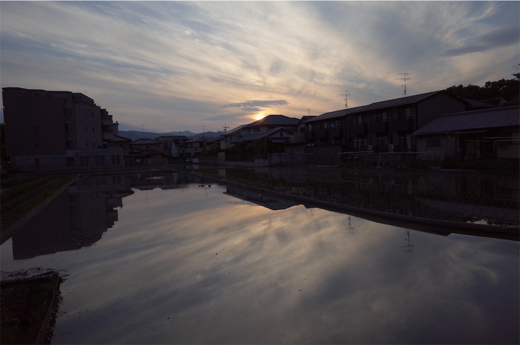 f:id:moko0908:20210524141531j:image