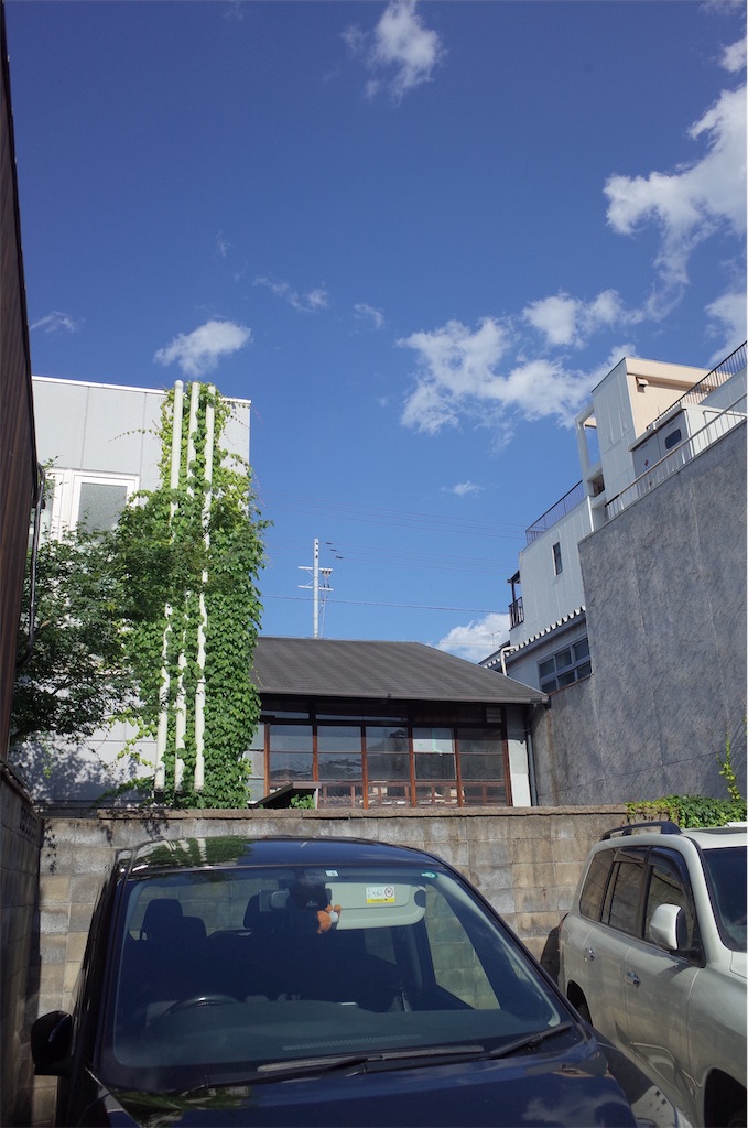f:id:moko0908:20210531190157j:image