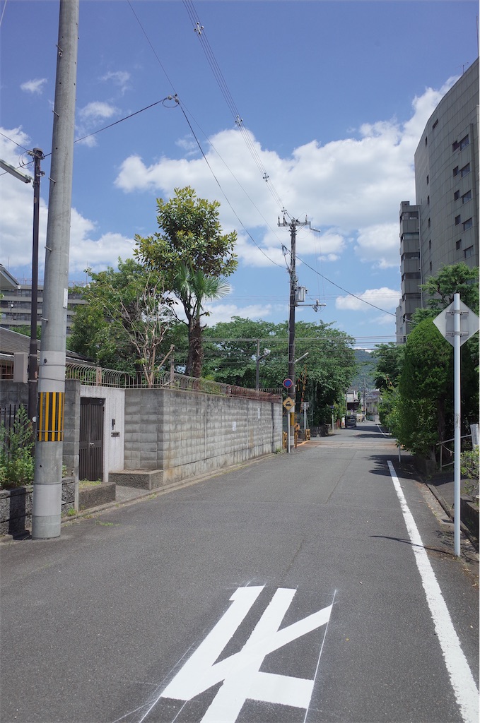 f:id:moko0908:20210605161004j:image