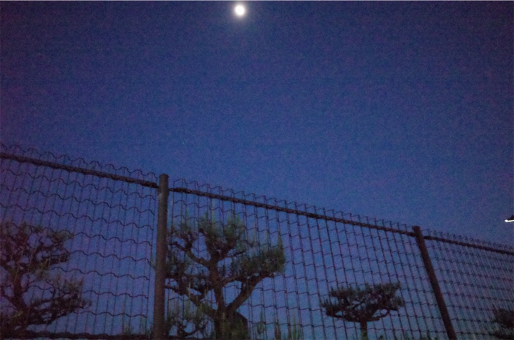 f:id:moko0908:20210615005830j:image