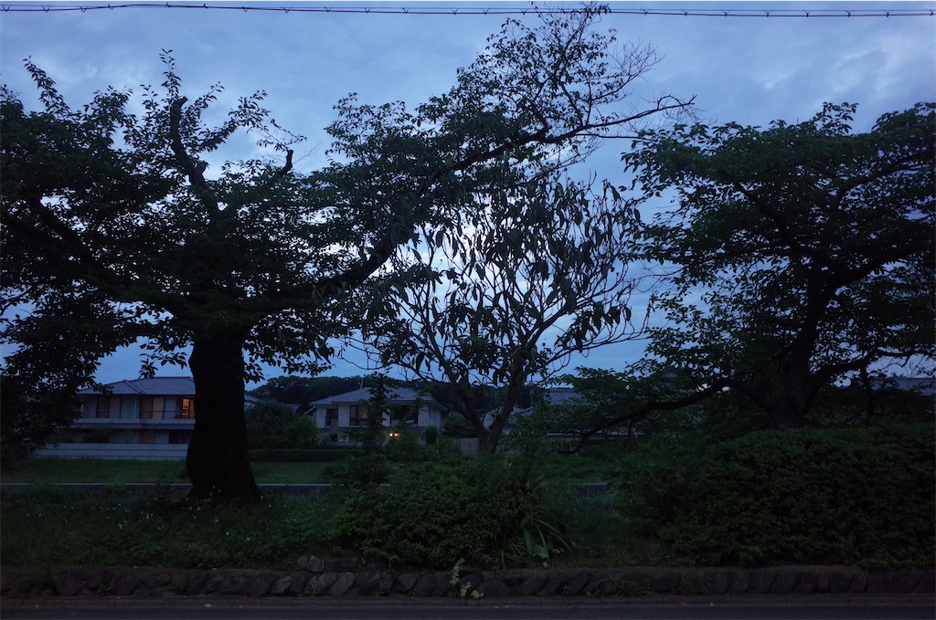 f:id:moko0908:20210711002320j:image