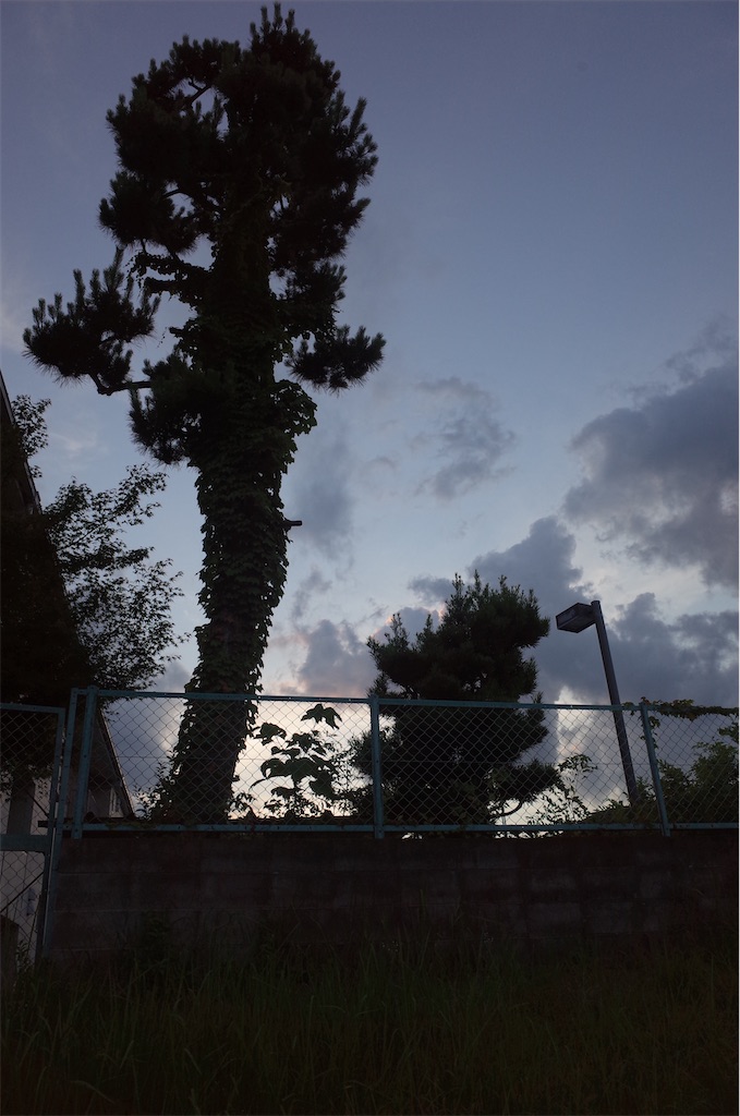 f:id:moko0908:20210725232041j:image