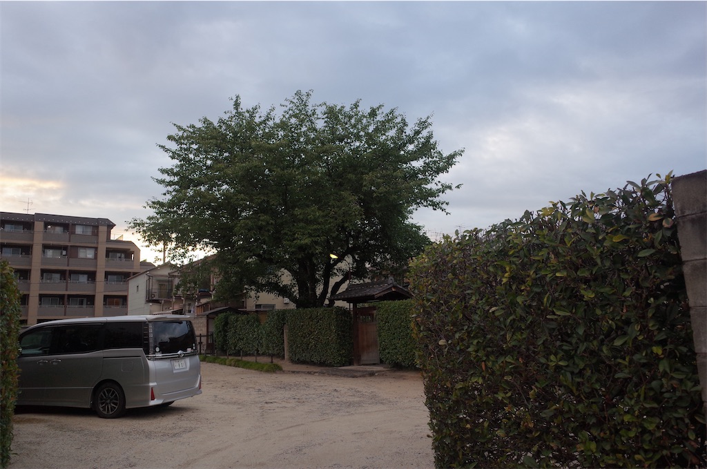 f:id:moko0908:20210728214054j:image
