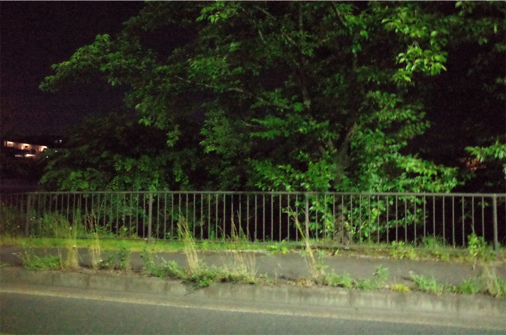 f:id:moko0908:20210802150133j:image