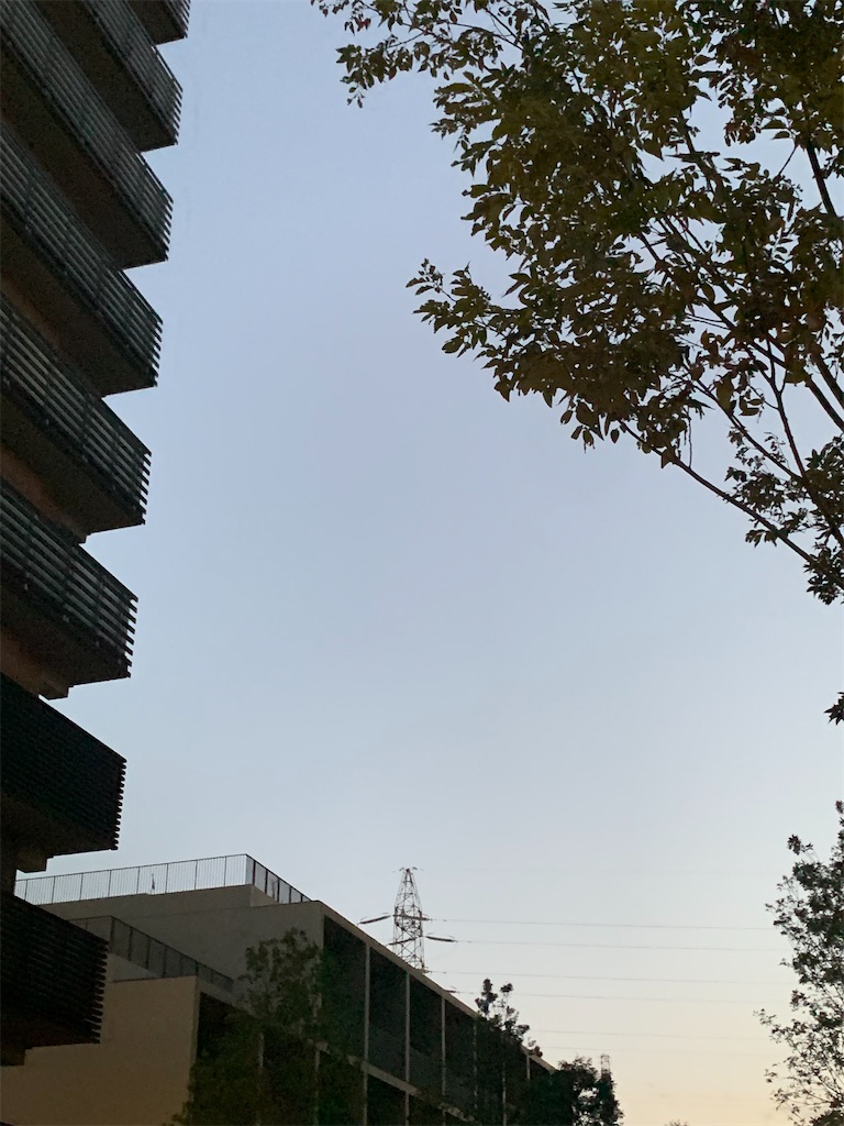 f:id:moko0908:20231104203304j:image