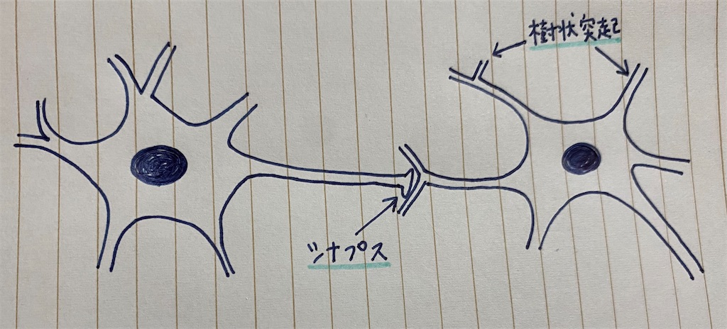 f:id:moko1101:20221013231653j:image