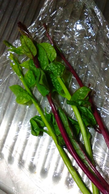 f:id:moko619:20180830131643j:image