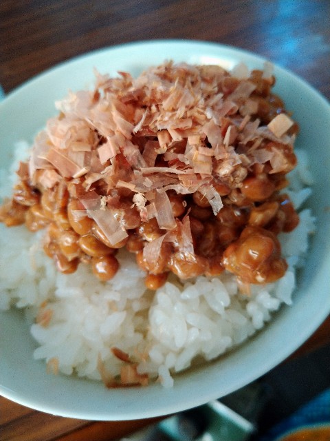 f:id:moko619:20201125125616j:image