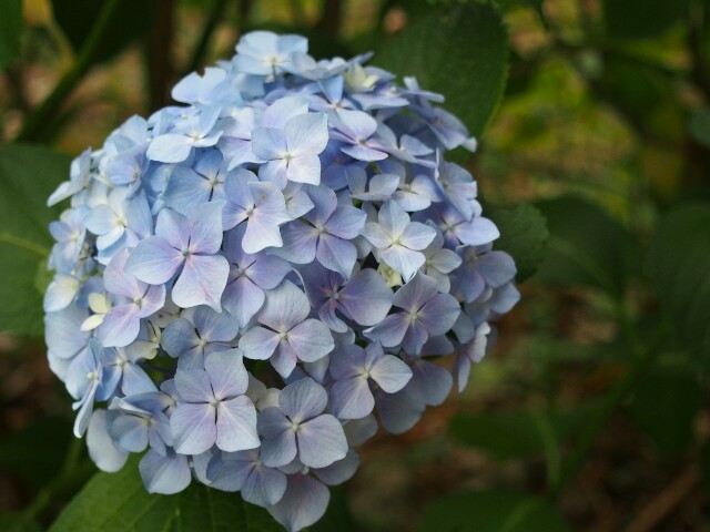 f:id:mokohan:20170622220542j:image f:id:mokohan:20170622220542j:image