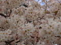 20100401111420