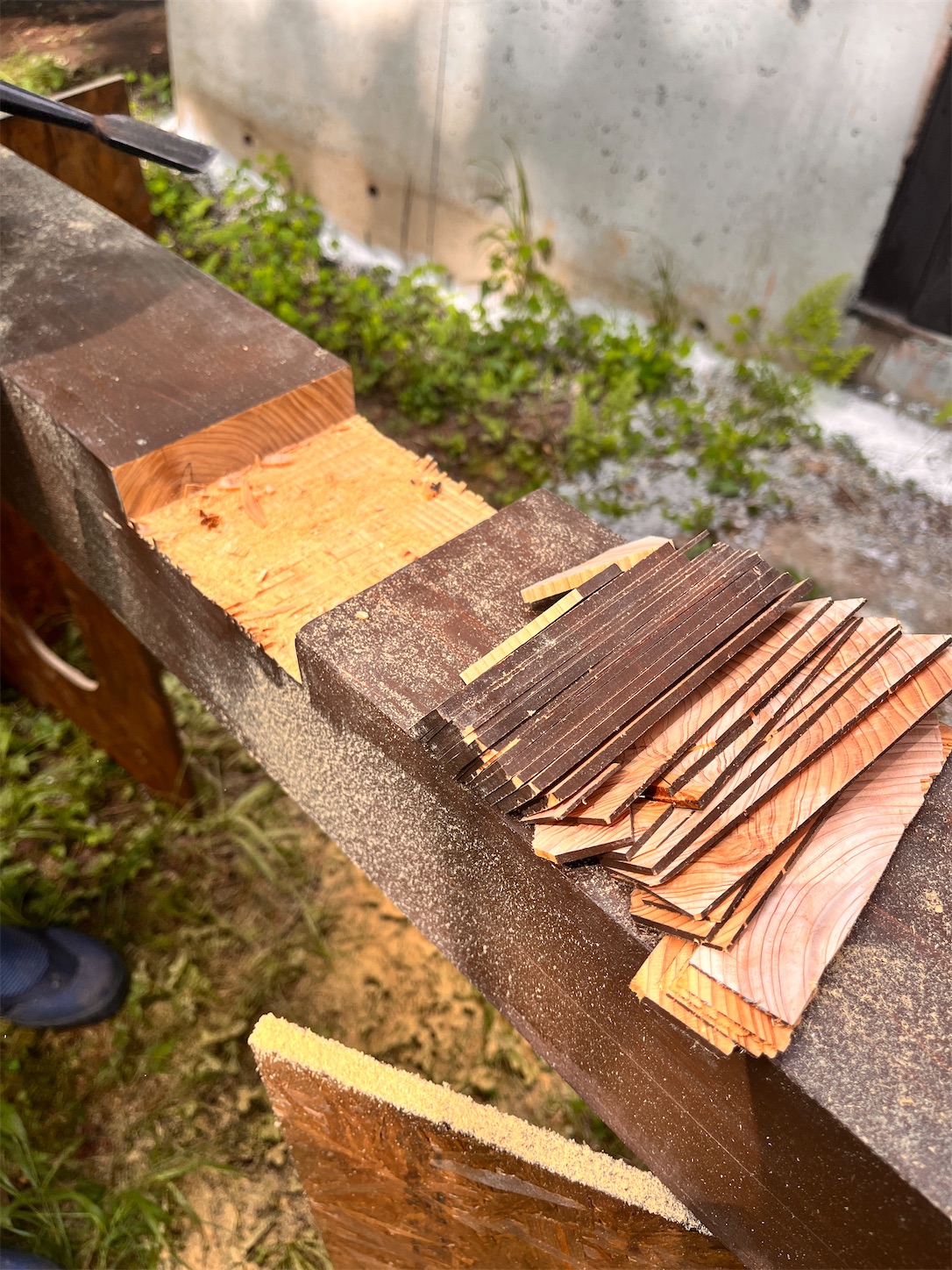 f:id:mokurem:20250709211959j:image