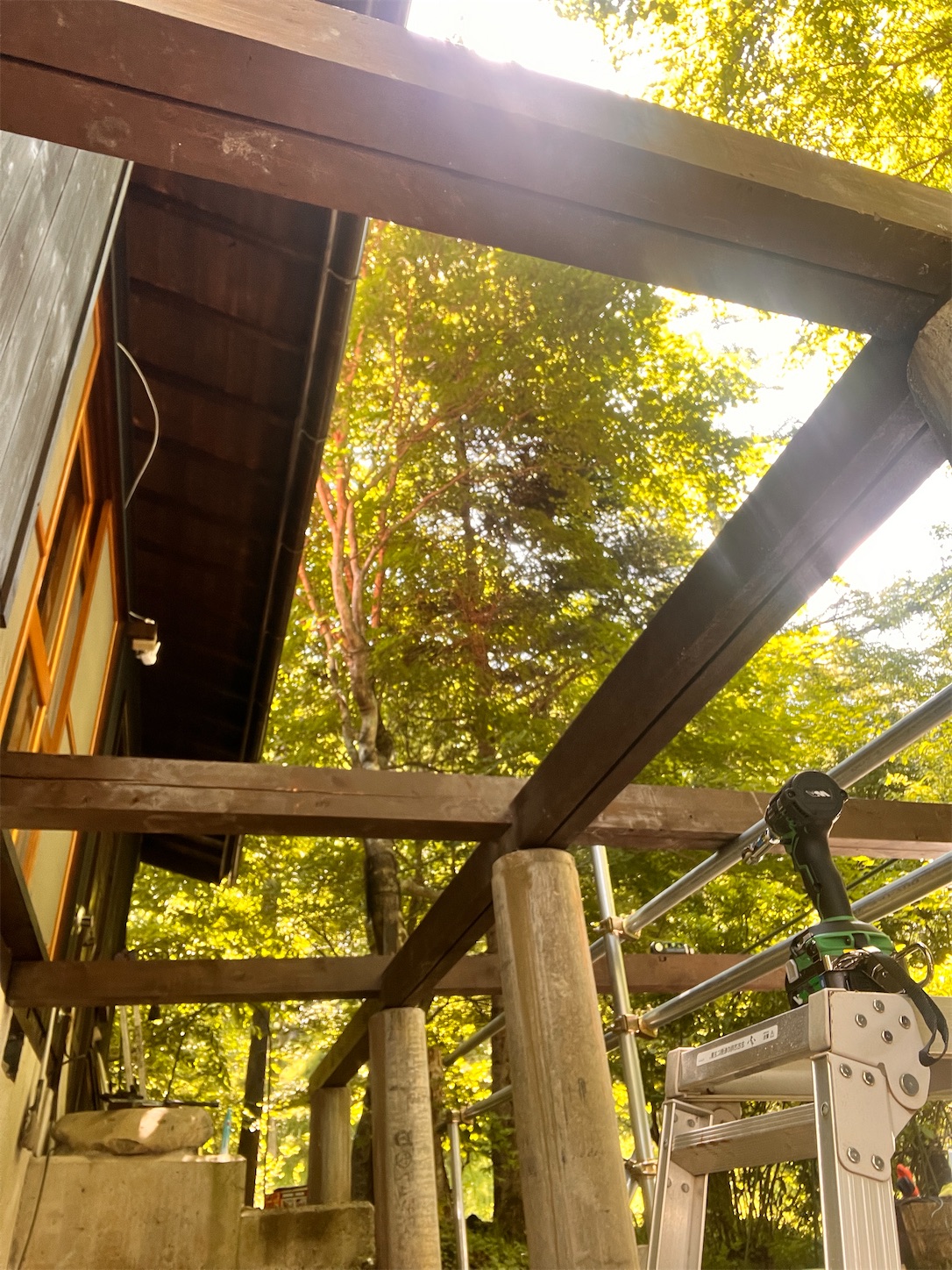 f:id:mokurem:20250709212051j:image