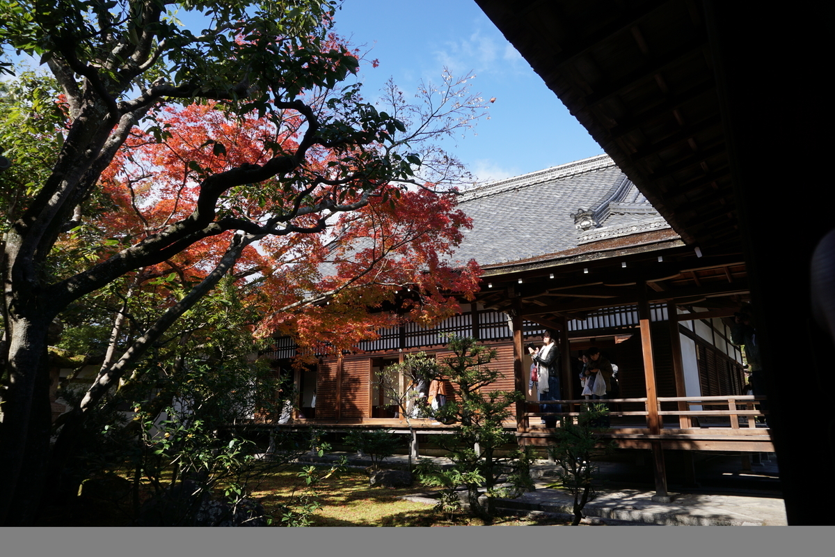 f:id:mokurennsionn:20190720162759j:plain f:id:mokurennsionn:20190720162759j:plain