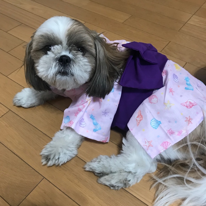 イメージ 1