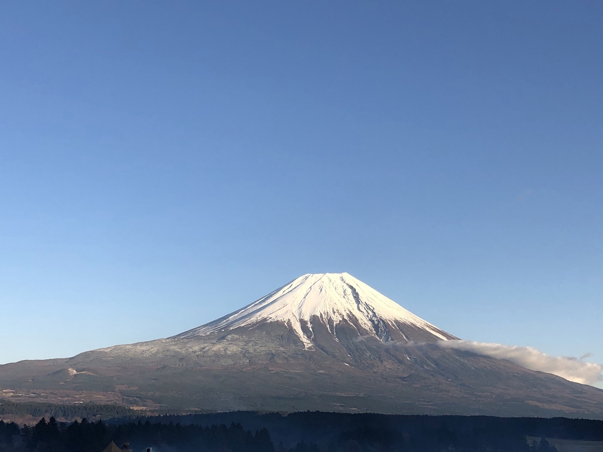 f:id:mokusei_gadget:20191201221152j:plain