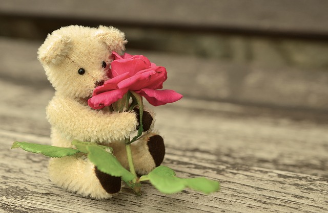 f:id:molgarden:20190417115714j:plain f:id:molgarden:20190417115714j:plain