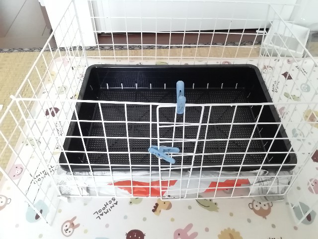 f:id:molgarden:20190619101935j:image f:id:molgarden:20190619101935j:image