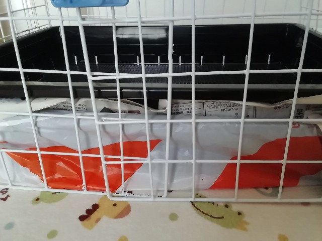 f:id:molgarden:20190619101945j:image f:id:molgarden:20190619101945j:image