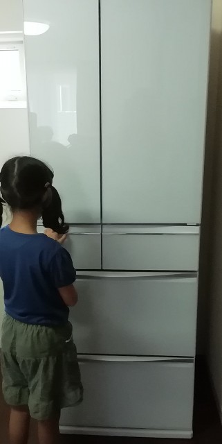 f:id:molgarden:20190902151901j:image f:id:molgarden:20190902151901j:image