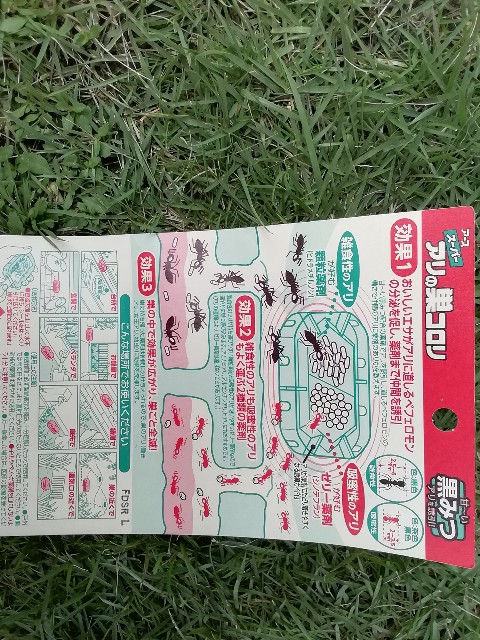 f:id:molgarden:20190912160553j:image f:id:molgarden:20190912160553j:image