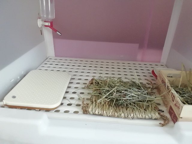 f:id:molgarden:20200328183053j:image f:id:molgarden:20200328183053j:image