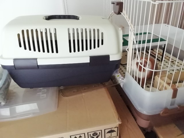 f:id:molgarden:20200603092705j:image f:id:molgarden:20200603092705j:image