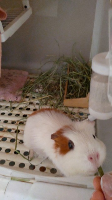 f:id:molgarden:20220209185441j:image