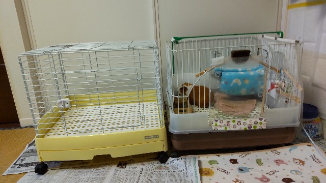 2箱　うさぎのカンタンおそうじケージ MR-994 H50B ブラウン Amazon.co.jp: ミニマルランド うさぎのカンタンおそうじケージ