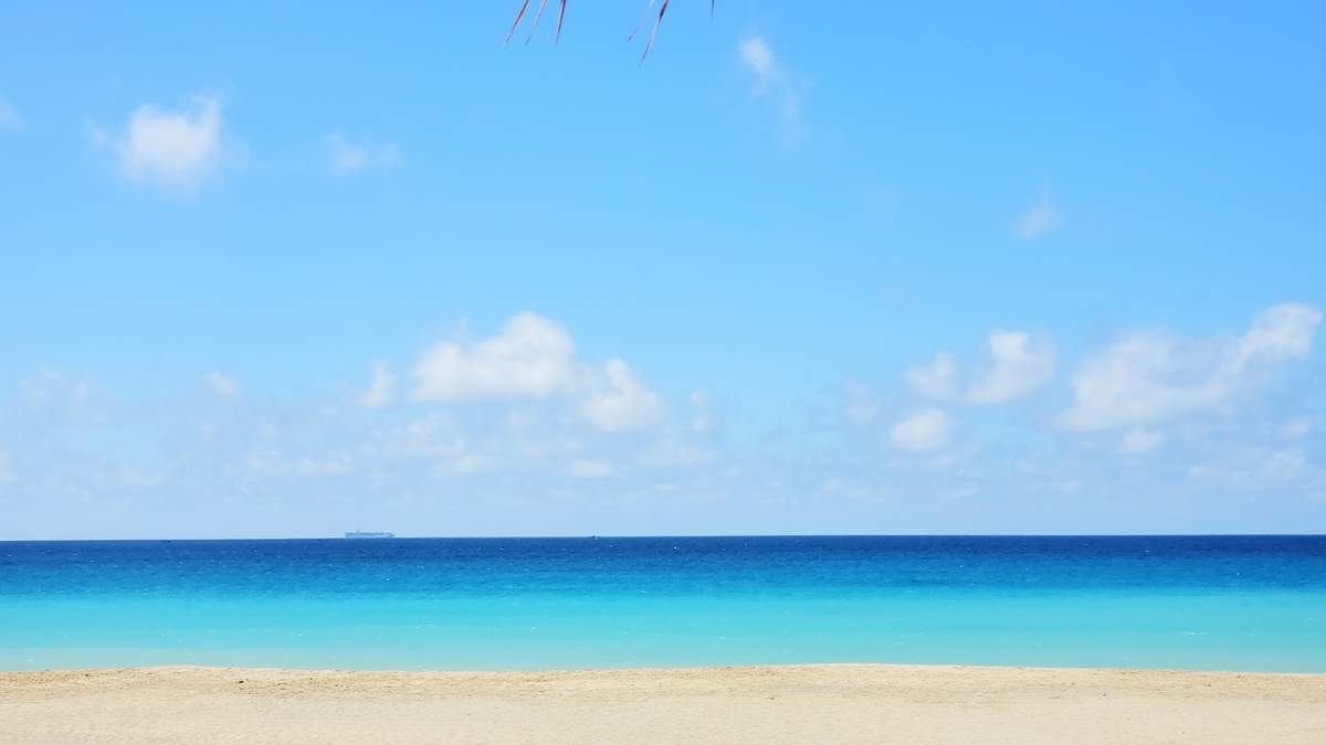 f:id:molitw:20200731182155j:plain f:id:molitw:20200731182155j:plain