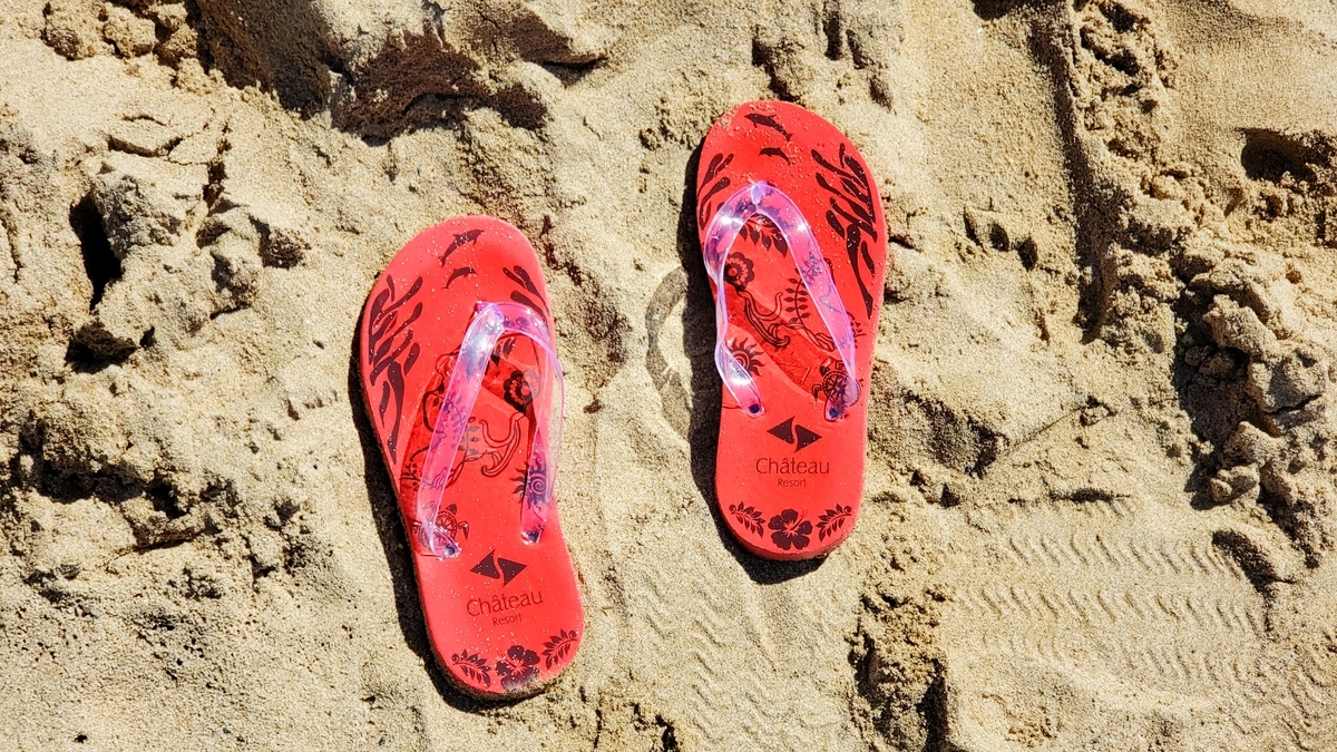 f:id:molitw:20200731182357j:plain f:id:molitw:20200731182357j:plain