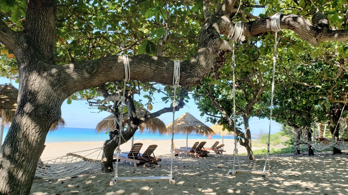 f:id:molitw:20200803143243j:plain f:id:molitw:20200803143243j:plain