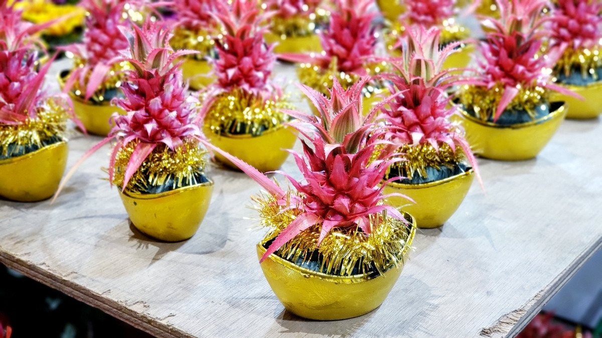 f:id:molitw:20210209132437j:plain