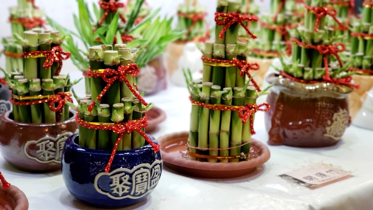 f:id:molitw:20210209132455j:plain