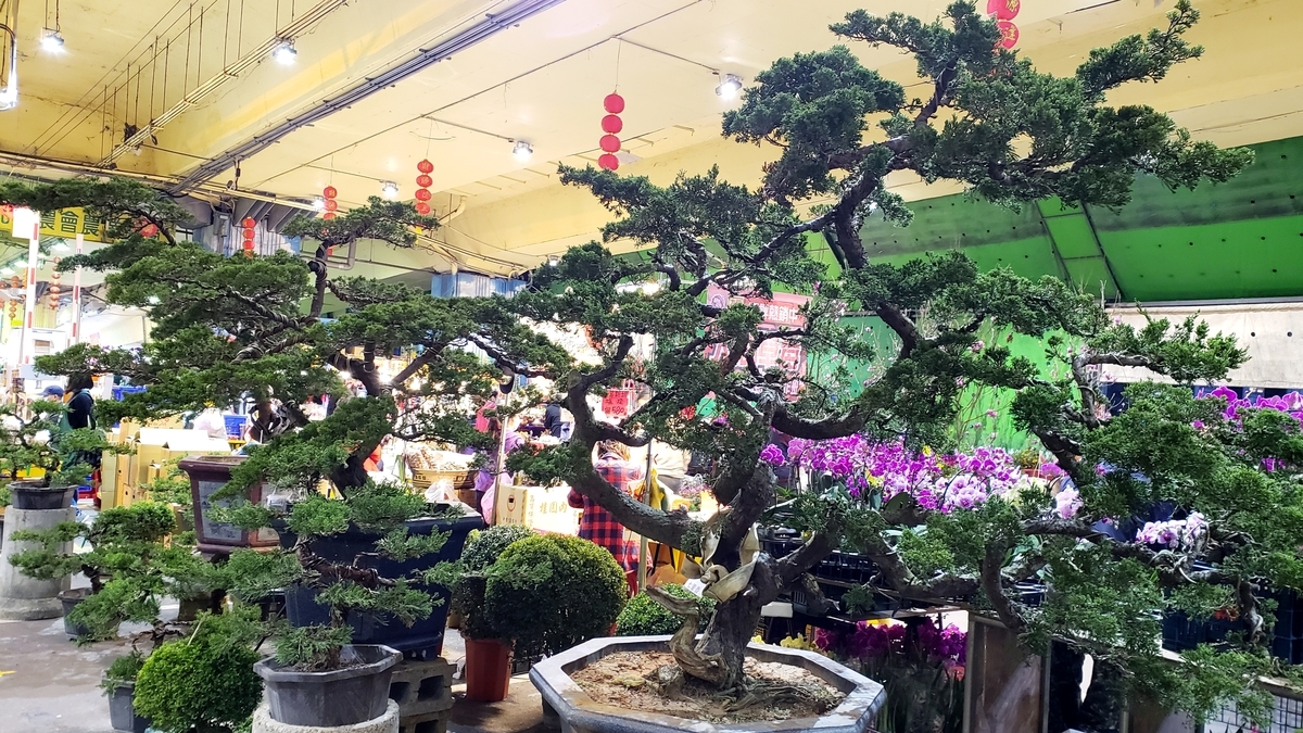 f:id:molitw:20210209132552j:plain