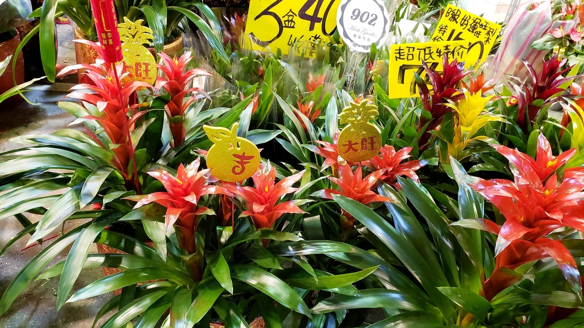 f:id:molitw:20210209132726j:plain