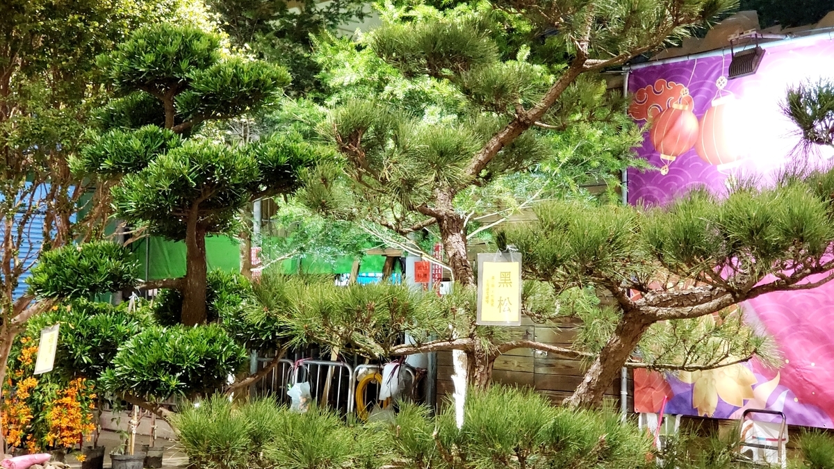 f:id:molitw:20210209145112j:plain